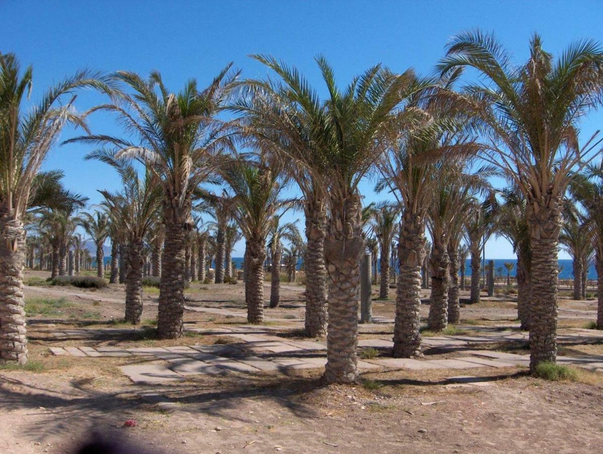 Golf Y Playa Junto Al Cabo De Gata Lejlighed Almería Eksteriør billede